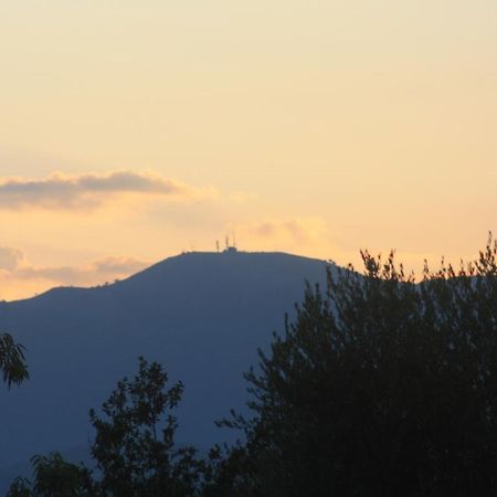 La Quercia Agriturismo Imperia Εξωτερικό φωτογραφία