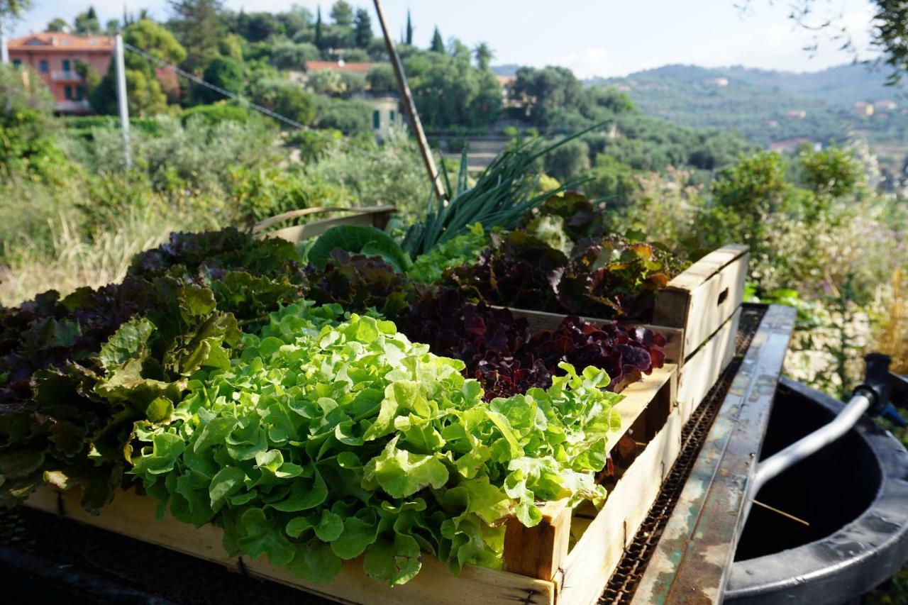 La Quercia Agriturismo Imperia Εξωτερικό φωτογραφία